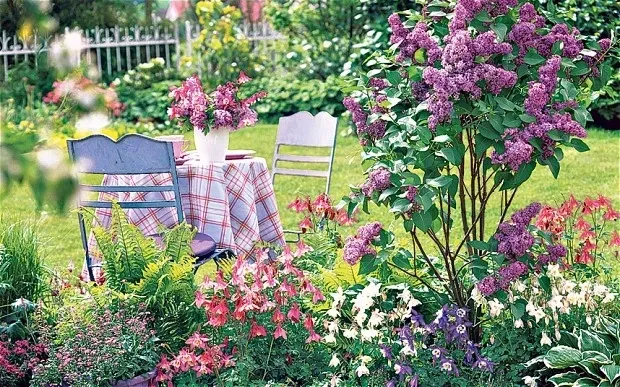 Garden Yoga