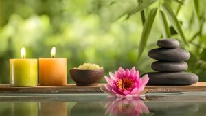 WELLNESS