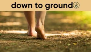 Down to Ground Grounding Products