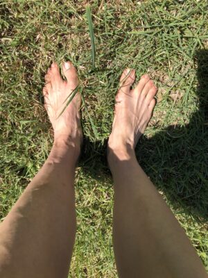 Earthing or Grounding Products