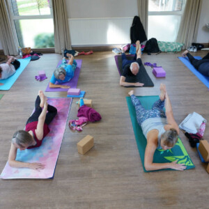 Vinyasa Yoga Class