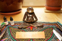 Kambo Alter with Frog